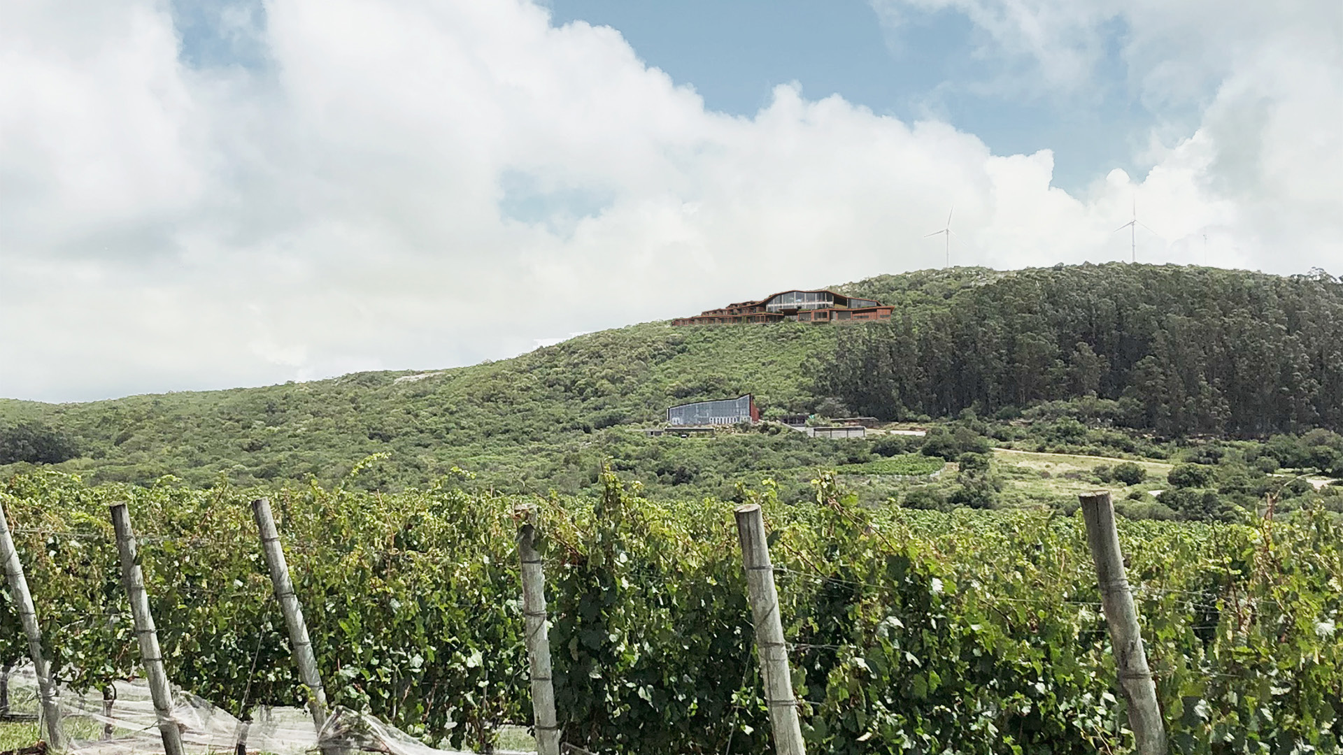Hotel integración con paisaje