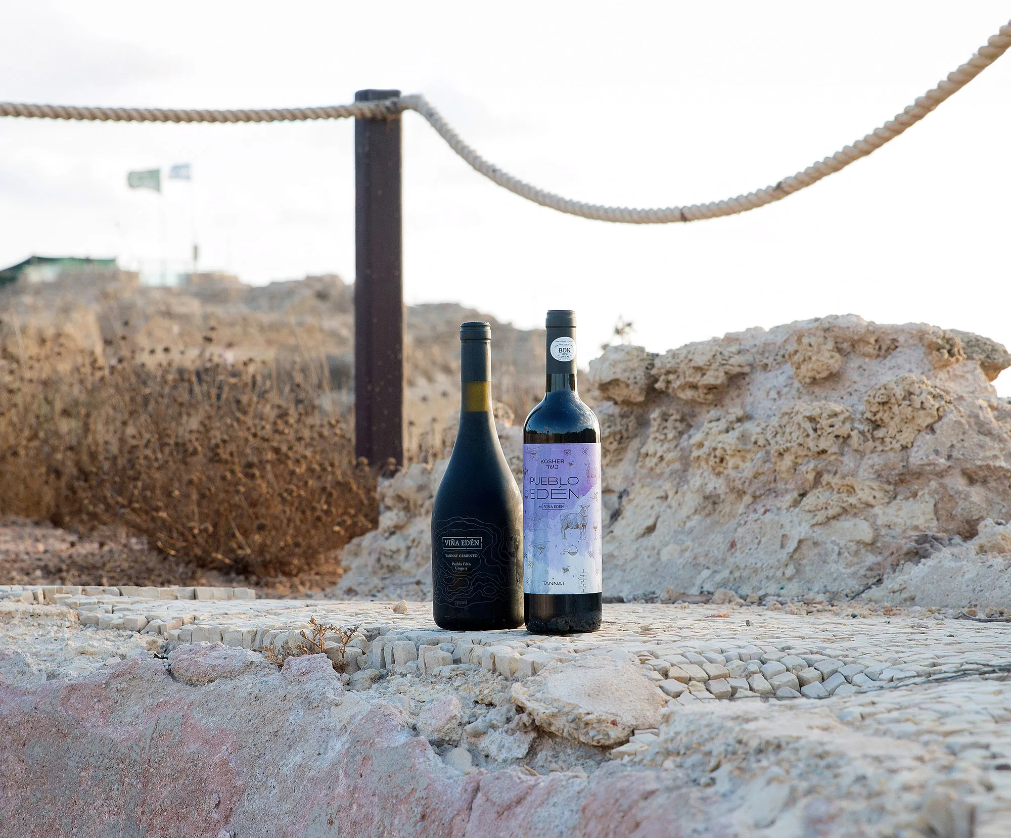 Bodega Viña Edén — kosher winemaking