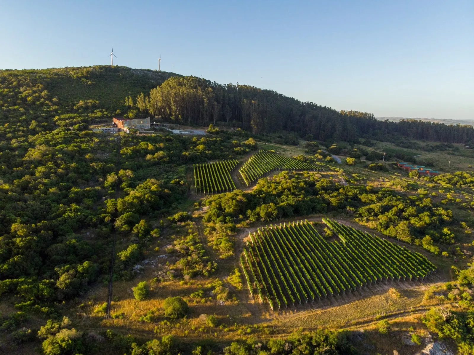 Tecnologia a Serviço da Natureza